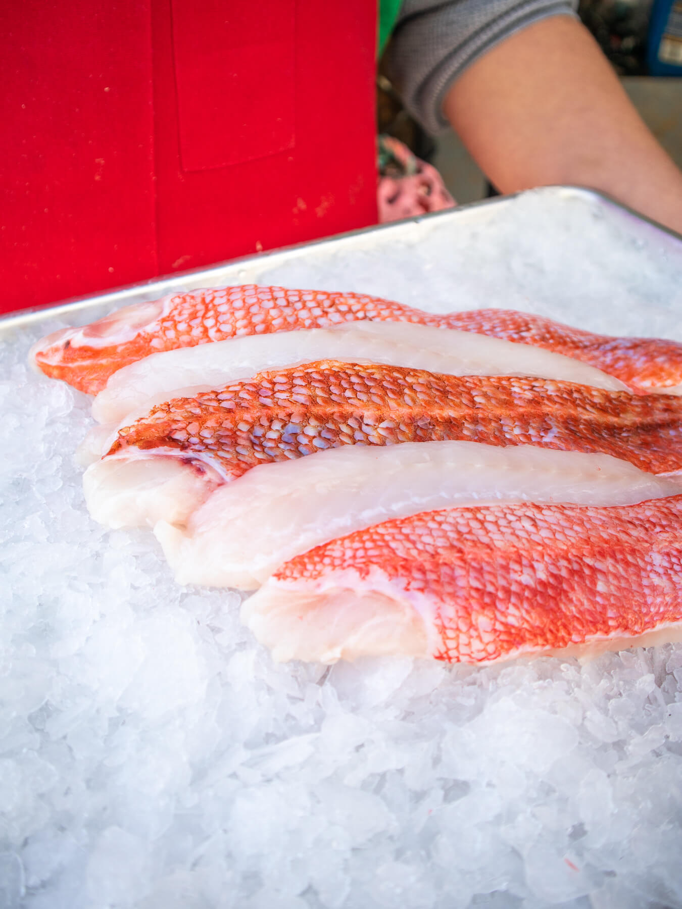 What Are Rock Fish: Discovering this Versatile Seafood