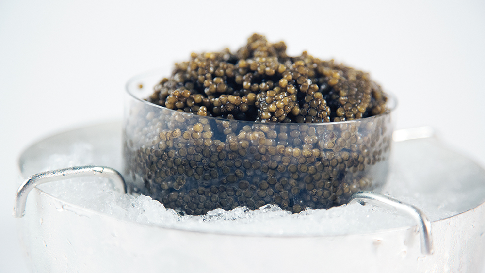 White Sturgeon Caviar: Indulging in Luxury Seafood