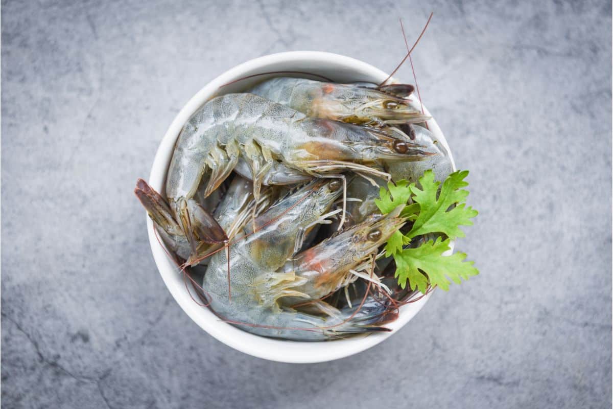 How to Tell If Shrimp Is Bad: Signs of Spoilage