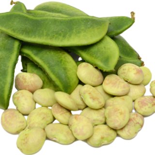 Lima Beans vs Fava Beans: Nutritional Benefits and Culinary Uses